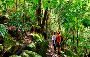 Couple exploring in the lush Lamington National Park, Queensland, Australia