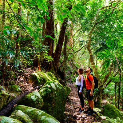 Couple exploring in the lush Lamington National Park, Queensland, Australia